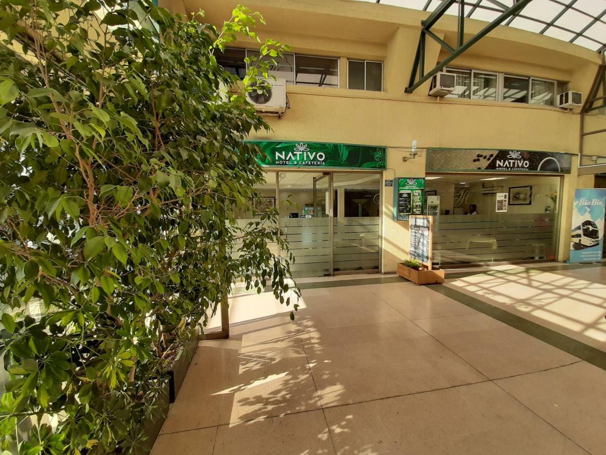 Nativo Hotel y Cafeteria Talca  Exterior foto